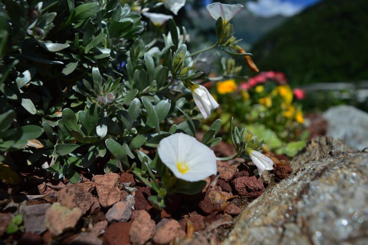 B&B Valtilí Berzo Exteriér fotografie